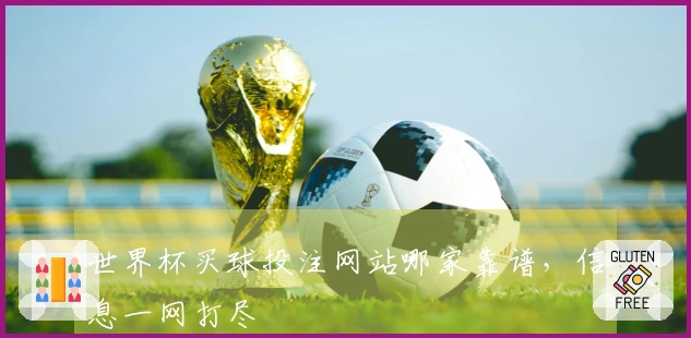 世界杯买球投注网站哪家靠谱，信息一网打尽