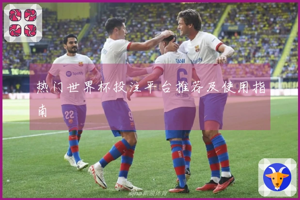 热门世界杯投注平台推荐及使用指南