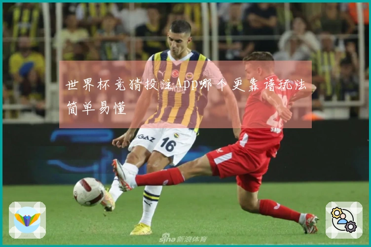 世界杯竞猜投注App哪个更靠谱玩法简单易懂
