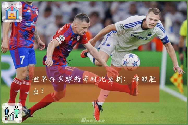 世界杯买球赔率对比分析：谁能胜出？