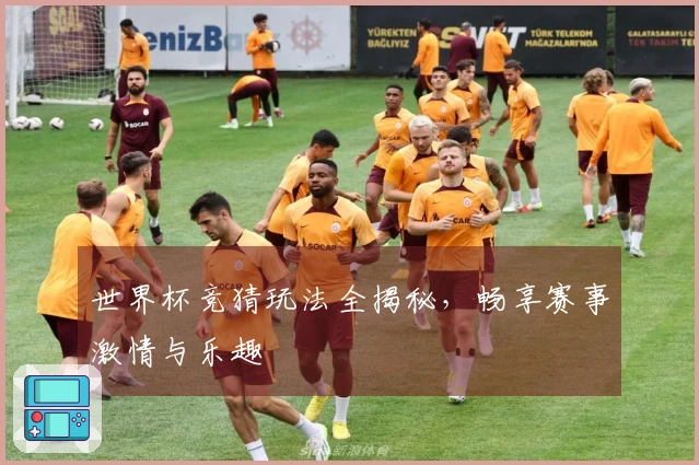 世界杯竞猜玩法全揭秘，畅享赛事激情与乐趣