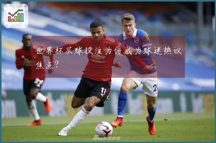 世界杯买球投注为何成为球迷热议焦点？