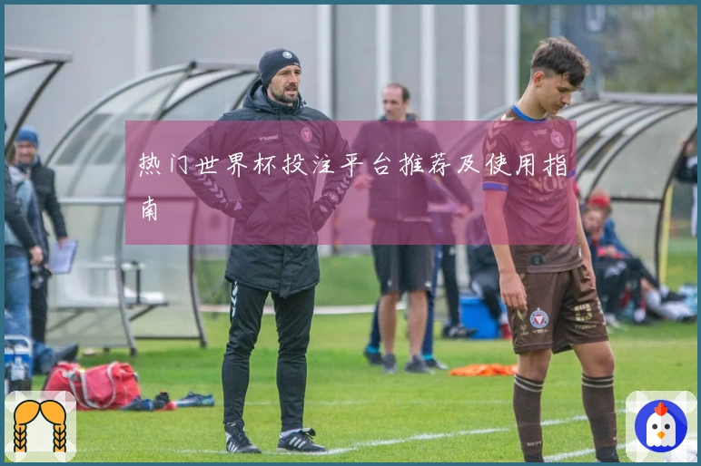 热门世界杯投注平台推荐及使用指南