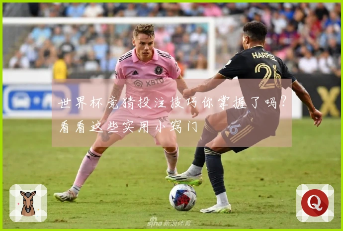 世界杯竞猜投注技巧你掌握了吗？看看这些实用小窍门