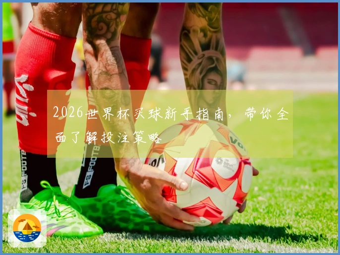 2026世界杯买球新手指南，带你全面了解投注策略